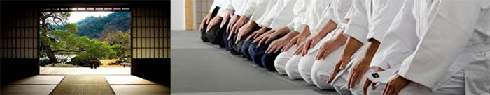 banner-dojo